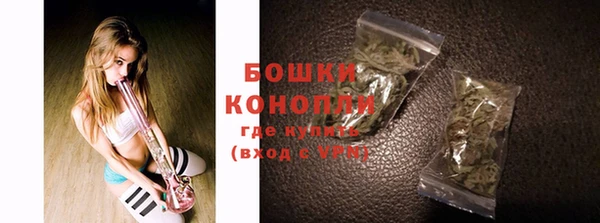 ГАЛЛЮЦИНОГЕННЫЕ ГРИБЫ Бронницы