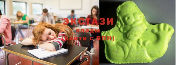 твердый Бородино