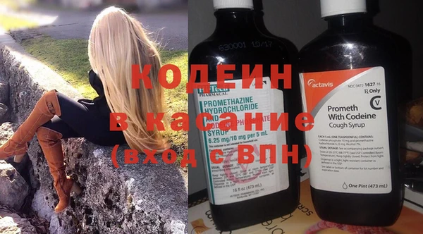 твердый Бородино