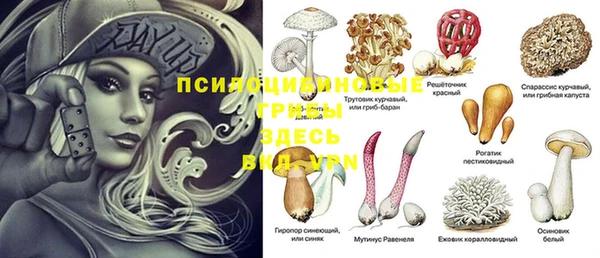 мет Богородицк
