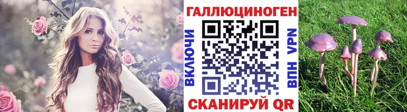 Псилоцибиновые грибы Cubensis  ОМГ ОМГ зеркало  Можайск 